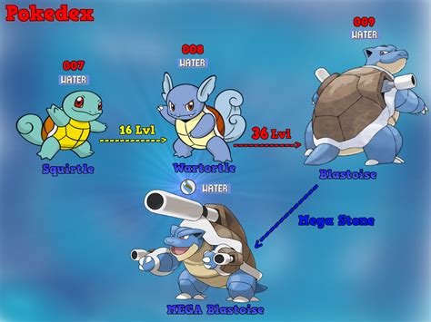 squirtle evolution.